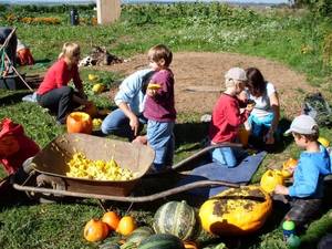2nd Rencontre Européenne des Partenariats locaux et solidaires (Urgenci)