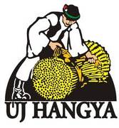 The Hungarian Social and Solidarity Economy: social cooperatives.