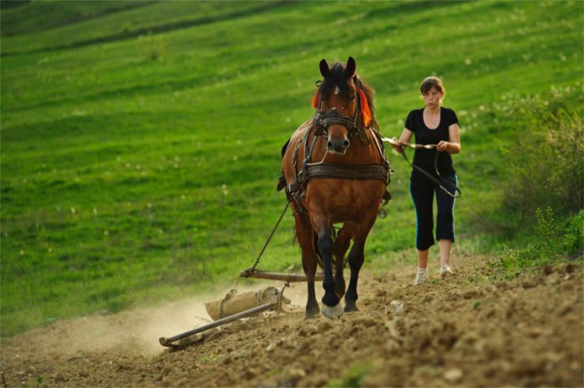 L’Agriculture Soutenue par la Communauté et le réchauffement climatique