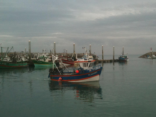 Independant media talk about SSE