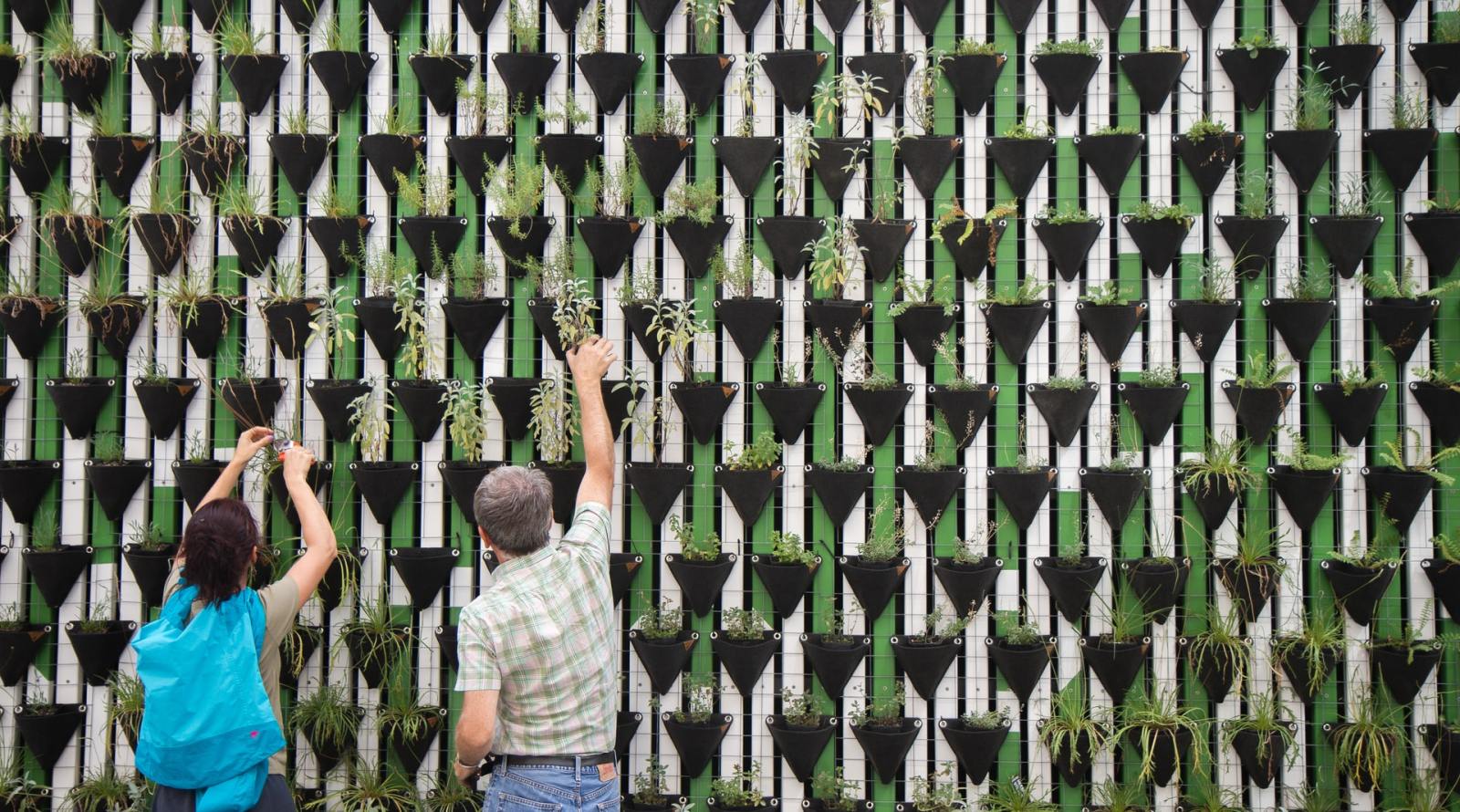 Réseaux transnationaux pour le développement régénératif en Europe