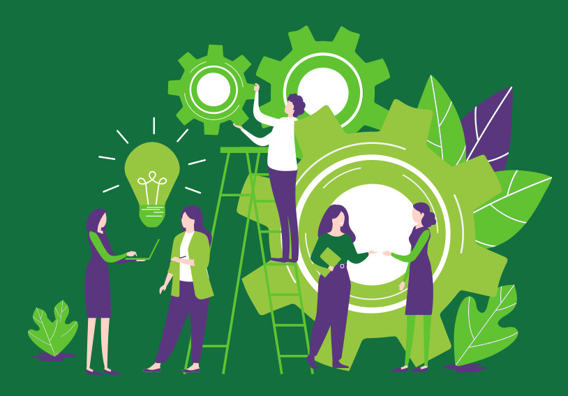 Las mujeres de la ESS: informe sobre perfil competencial