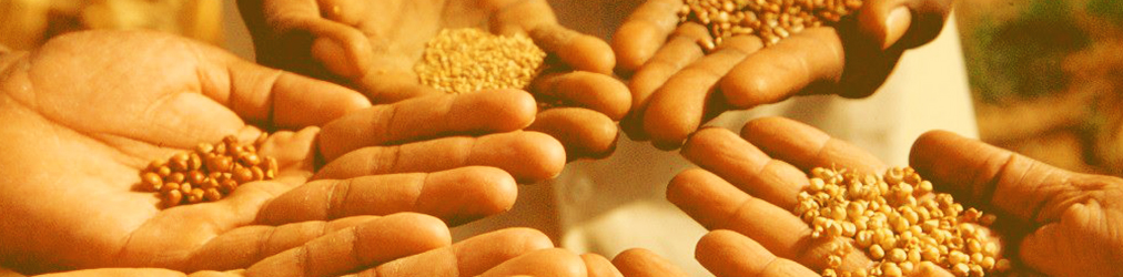 Trabajo de incidencia mundial de RIPESS