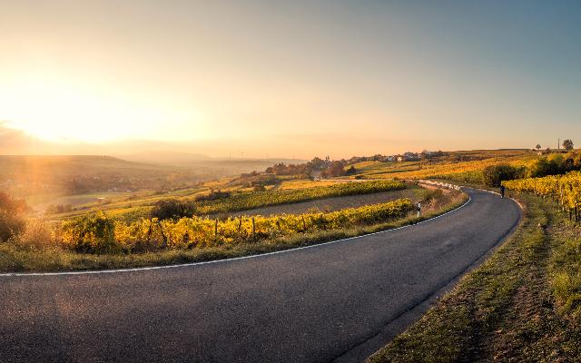 On the path to our September gathering!