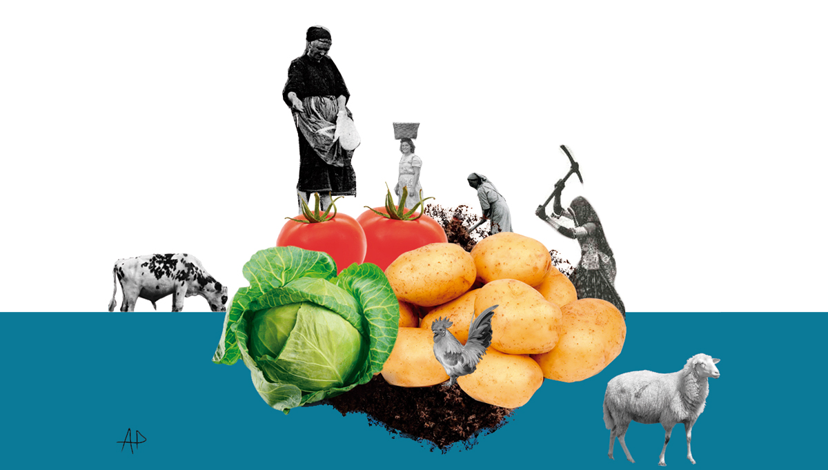 Pour un système alimentaire basé sur l’agroécologie et la souveraineté alimentaire