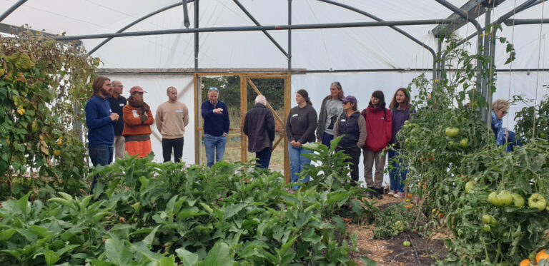 Abogando por la agroecología: ¡Resumen del webinario!