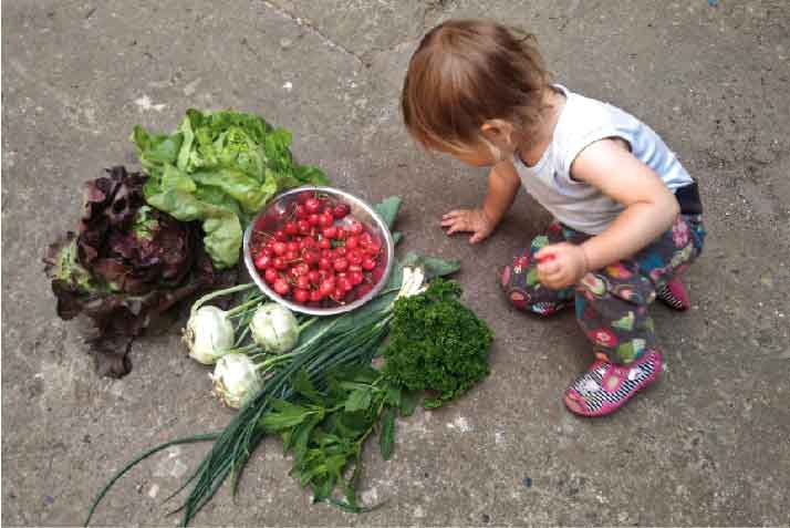 ¿Qué lo que hay en tu canasto? Participa en un estudio sobre tus canastos CSA
