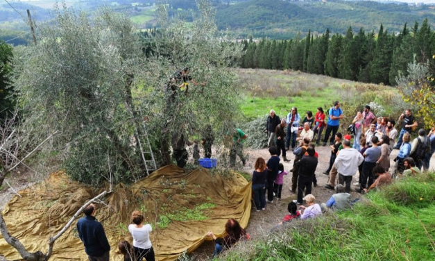 Mondeggi 2026: reimaginando la finca en cuanto bien común del futuro