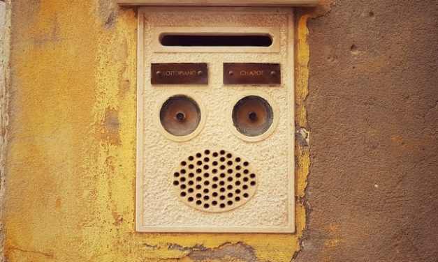 A special issue on Digital Tools for SSE