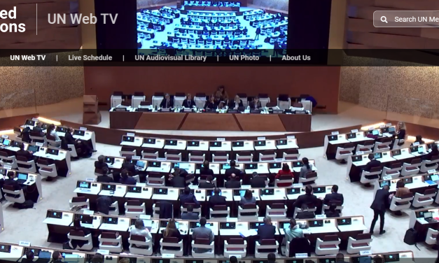 Une étape historique : l’ONU adopte une résolution sur l’ESS