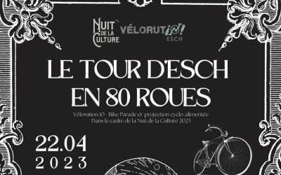 Velorution: changing the city, changing life