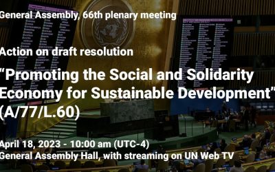 Ripess gathers support before the imminent ratification of the UN Resolution on SSE