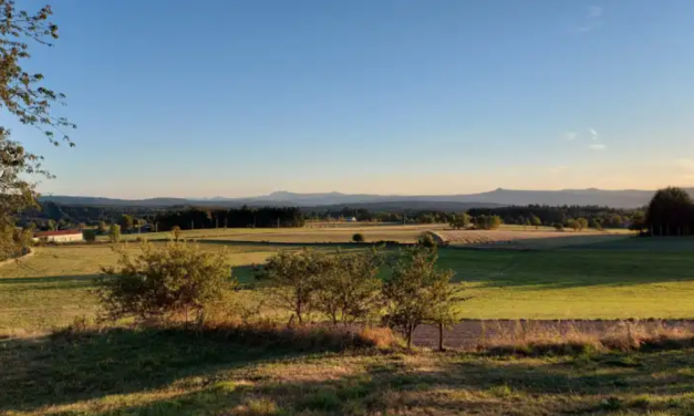 A food Social security?