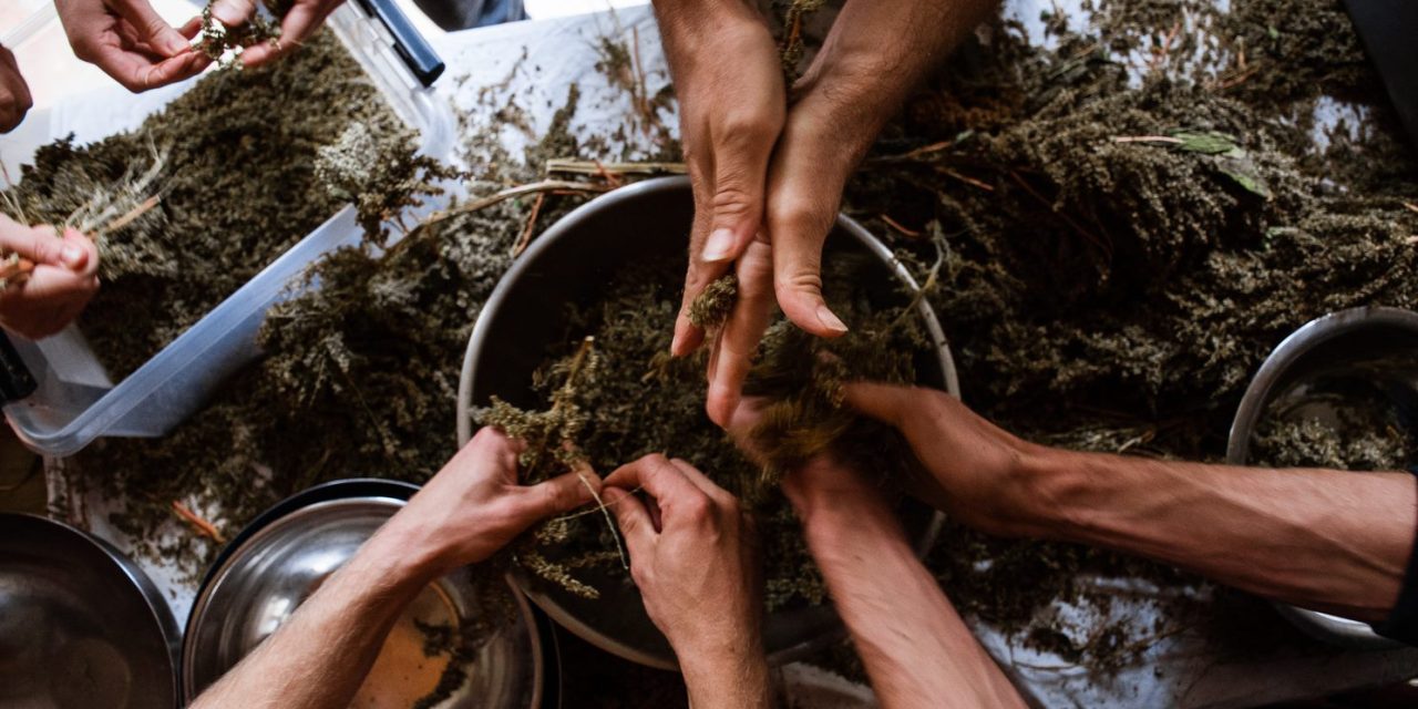 La Med’Caravane visite la communauté éco-sociale de Dražen et Alen