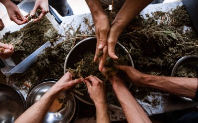 The Mediterranean Caravan visits Dražen and Alen’s eco-social community