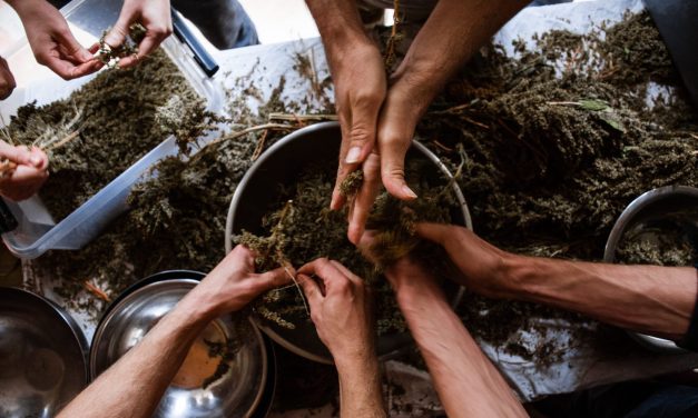 La Med’caravana visita la comunidad ecosocial de Dražen y Alen