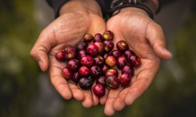 Right to food and food justice