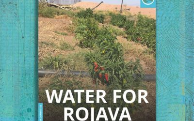 Solidarity Economy Association (UK): From Rojava to Oxford