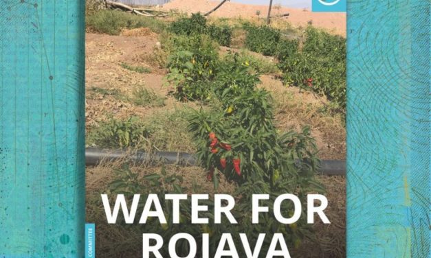 Solidarity Economy Association (UK): From Rojava to Oxford