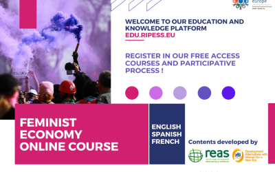 Online Course on Feminist Economics