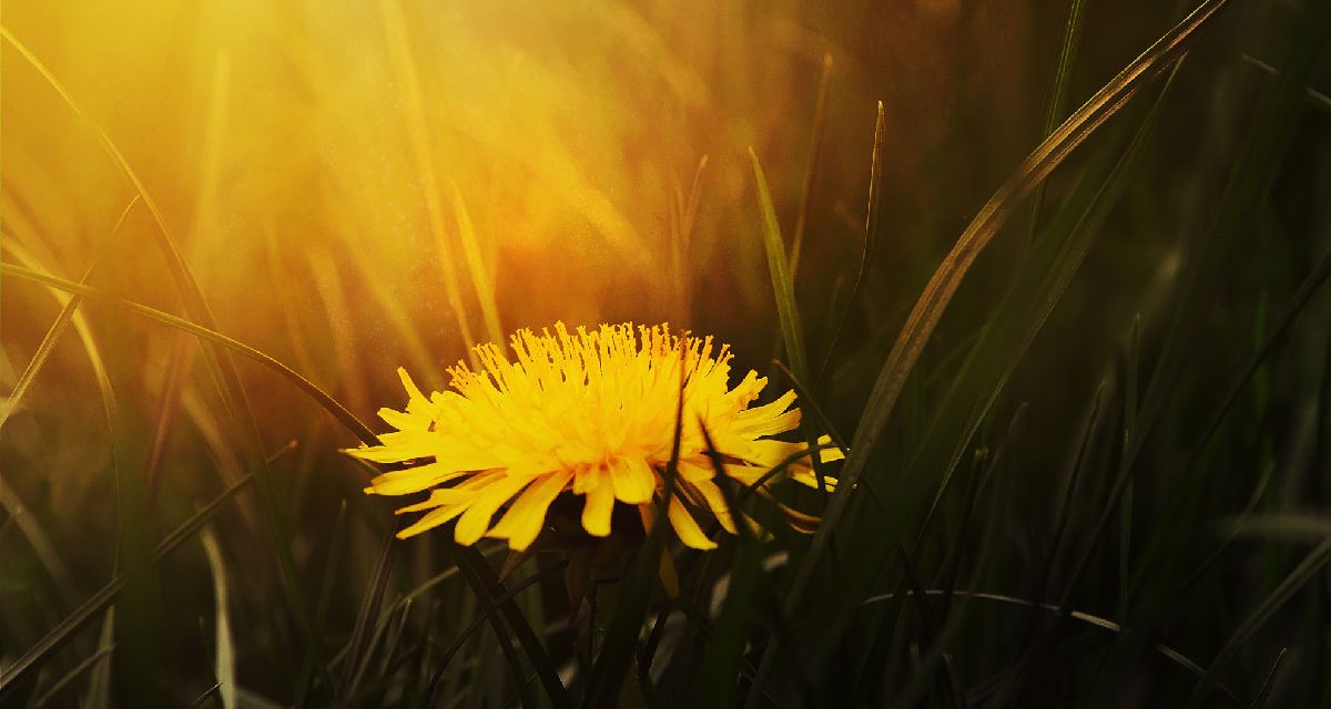 The path for collective emancipation is already open