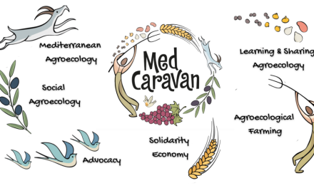 Paving the Way for Agroecological Education in the Mediterranean