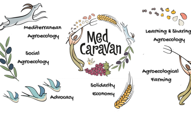 Allanando el camino para la educación agroecológica en el Mediterráneo
