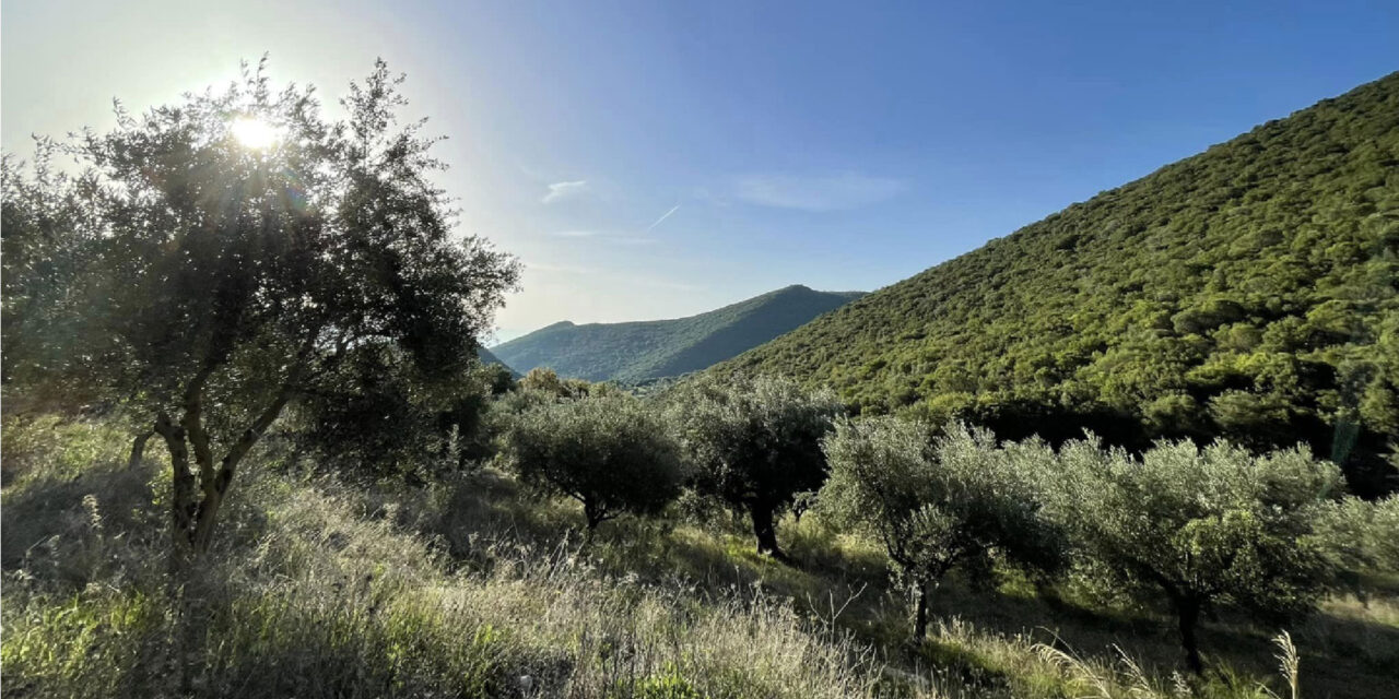 Action Against Wildfires: Empowering Communities