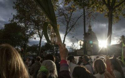Farmers’ Mobilization: Network’s Analysis and Call to Action
