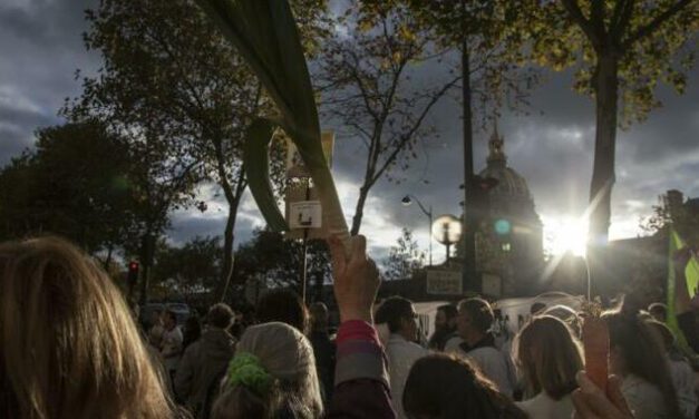 Movilización de lxs agricultorxs: análisis por parte de la Red y llamado a la acción