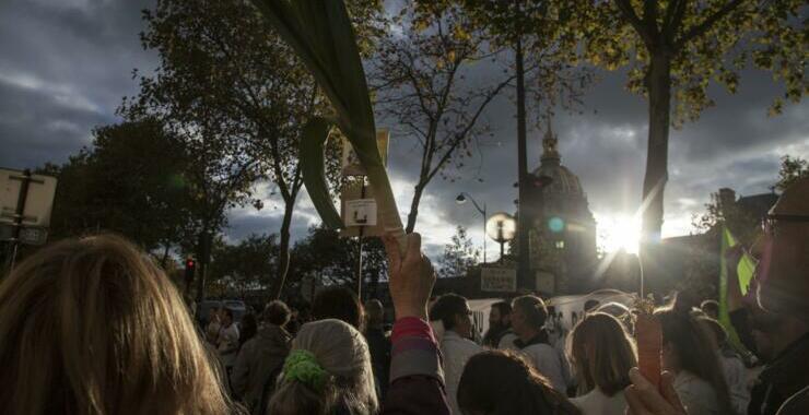 Farmers’ Mobilization: Network’s Analysis and Call to Action