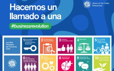 WFTO: We are calling for a Business Revolution!