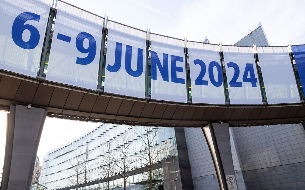 European Elections 2024: Campaigns and manifestos for social economy movements