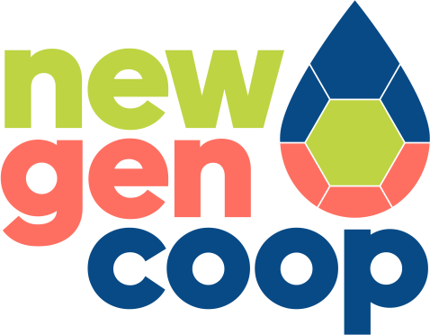 Networking workshop for the 2025 international year of cooperatives