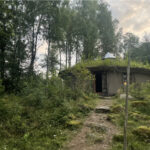 The power of communities