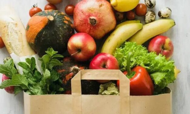 Nyéléni ECA Webinar on “Food Social Security”